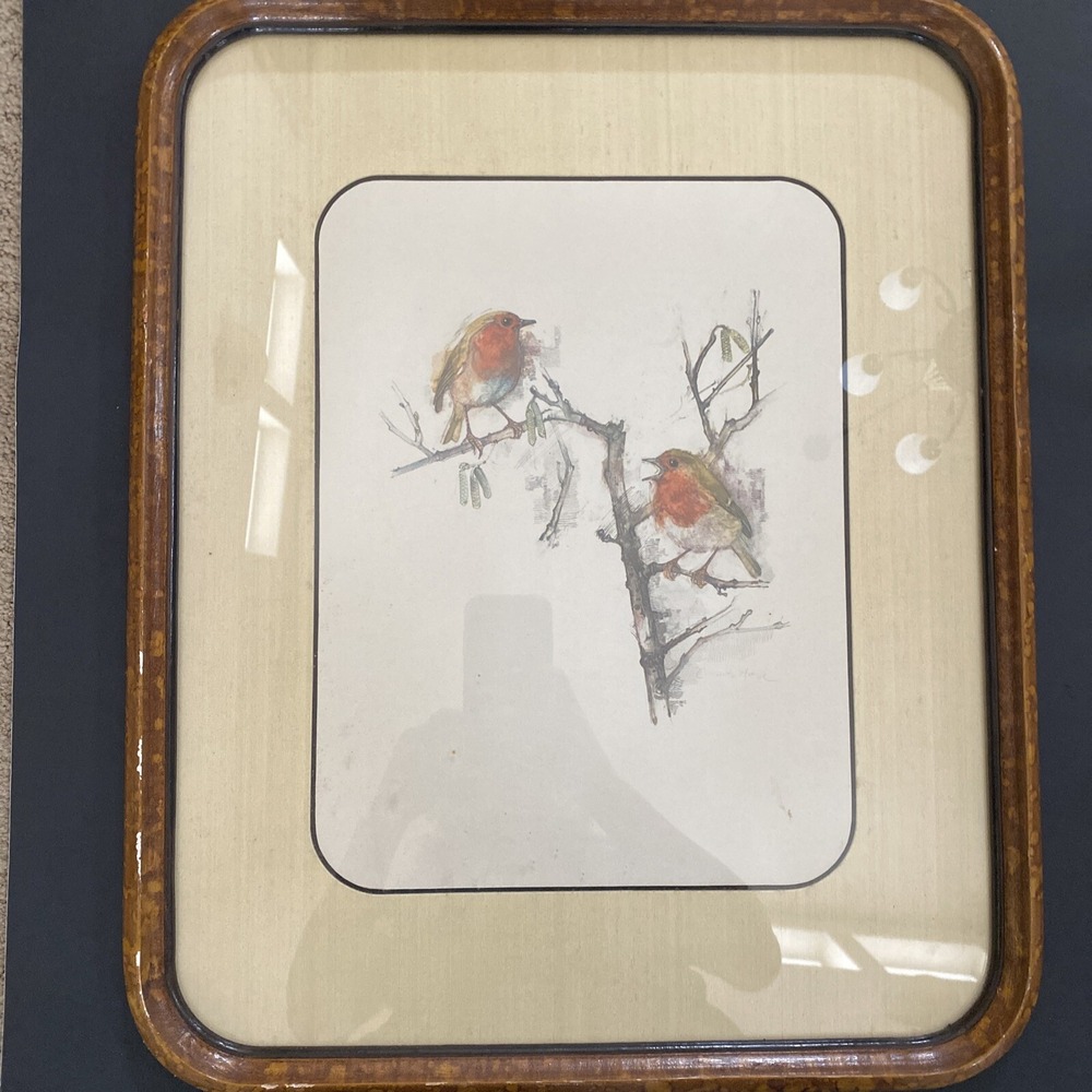 Vintage 80s Custom Framed Danish Watercolor Print Song Bird Series Robins 18x21"